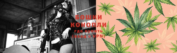 ешки Алексин