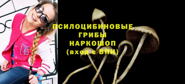 PSILOCYBIN Алексеевка