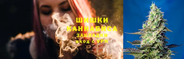 PSILOCYBIN Алексеевка