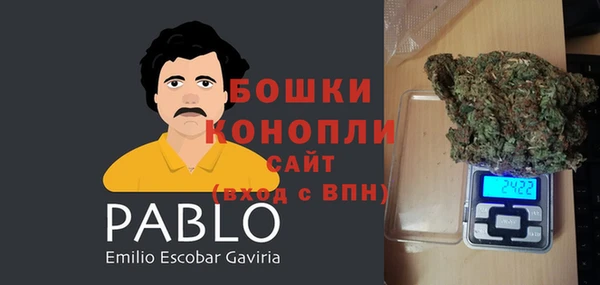 спиды Билибино